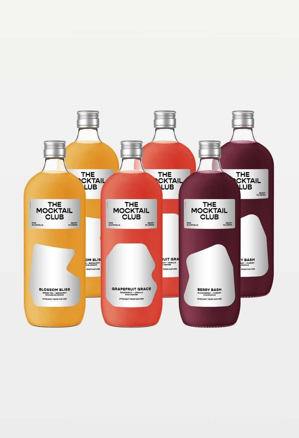 PACKAGE DEAL: 6 MOCKTAIL BOTTLES - 3 FLAVOURS